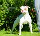 Rina Bull’s Athletic