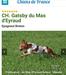 GATSBY du Mas d'Eyraud