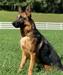 Bonita-Eyla V.D Ybajo Hoeve
