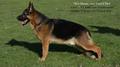idmon von united hof