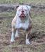  Maisy of BullyBada$$