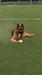 FOXS VON TUNİ