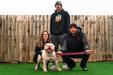 Ronneys Bulldogs Joe of Bay Area Bullies