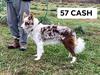 57 Cash ABC 425465