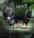  Mejias Max V