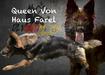  Queen von Haus Farel