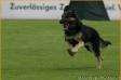Zara vom Kassler Kreuz