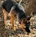 Lobito Von Kindheitstraum (Seymour)