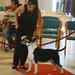 CIARA FOR KATARINABULLS IZ KOLIZEY VAKA