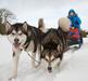 Sledog Dream Seeker to Iceclimb