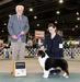 AKC CH Legacy's Chase The Clouds