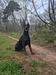 Patryk Black Beauty Lady