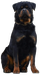 Zino Can Simbolico