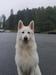 Buck of White Wolf Dream