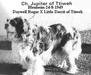 JUPITER OF TTIWEH