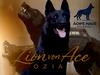 Police K9 Zion Von Ace Ozias