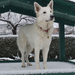 Xara - Sunny of white Valley