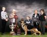2024 US GV SEL MBISS GCH CH Legacy's Redemption of Breauhausen