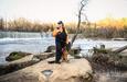 Delilah of Ozark Mountain German Shepherds