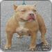 MBZ's PINKY aka RIA