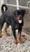 Energy of Derek’s Rott