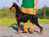 Mylady Black Isis Von Broda Brasil