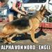 ALPHA VON NORD-ENGEL