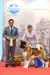 Bona Bollars Powerful Force Pharaon