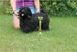 Agris Angel´s Havana Wild Angel