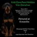 Irish Eyes Pam Holiday Von Donahue