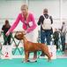 ASTI DOG HAUS SHARLIZE