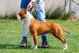 The Gotti Long Step