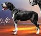 Southern Barrons Means to an End @Scoober Danes