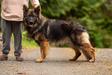 Esteemed K9's Don't Kiss And Tell