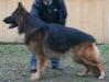 Ilay von der Fangschleuse