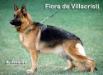 VA3 SPAIN Fiora de Villacristi