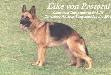 Eike von Pastoral