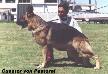 Cuastor von Pastoral