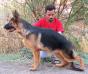 Alex (1999) LOI 0056862