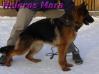 Heleros Mara