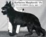  Kerberos Shepherds Oz