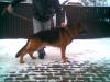 Perro Oger Schloss