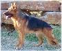 V Fedoro aus Agrigento