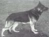 Quaid von der Hegewiese