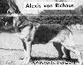 CH Alexis von Richaus