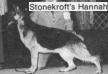  Stonekroft's Hannah