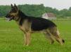 Jax von Lindesfarne