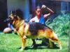 Canto von Marbach