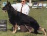 AOE 1997 GV CH Mar Haven's Color Guard