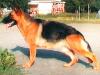 Rexie Oger Schloss